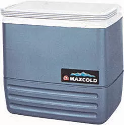 ΨΥΓΕΙΟ MAX GOLD 36